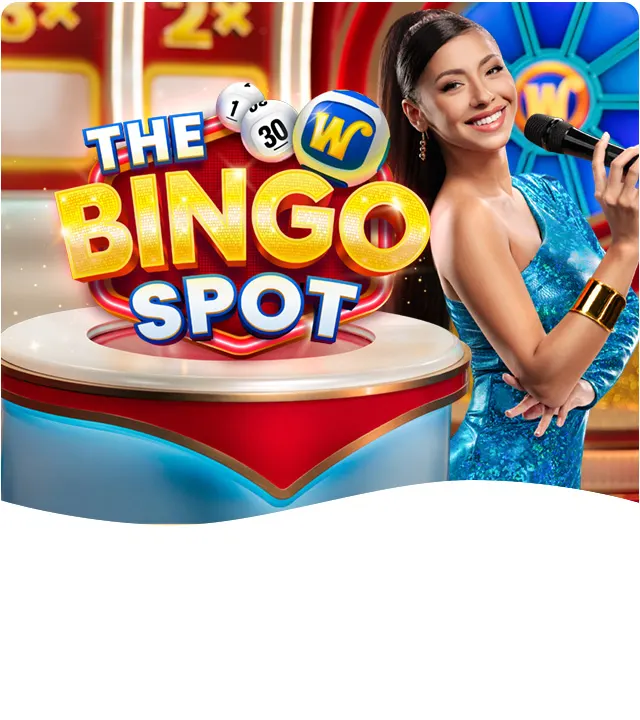 The Bingo Spot game artwork