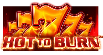 Hot to Burn® game artwork