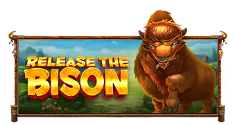 Release the Bison game artwork