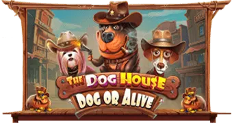 The Dog House – Dog or Alive game artwork
